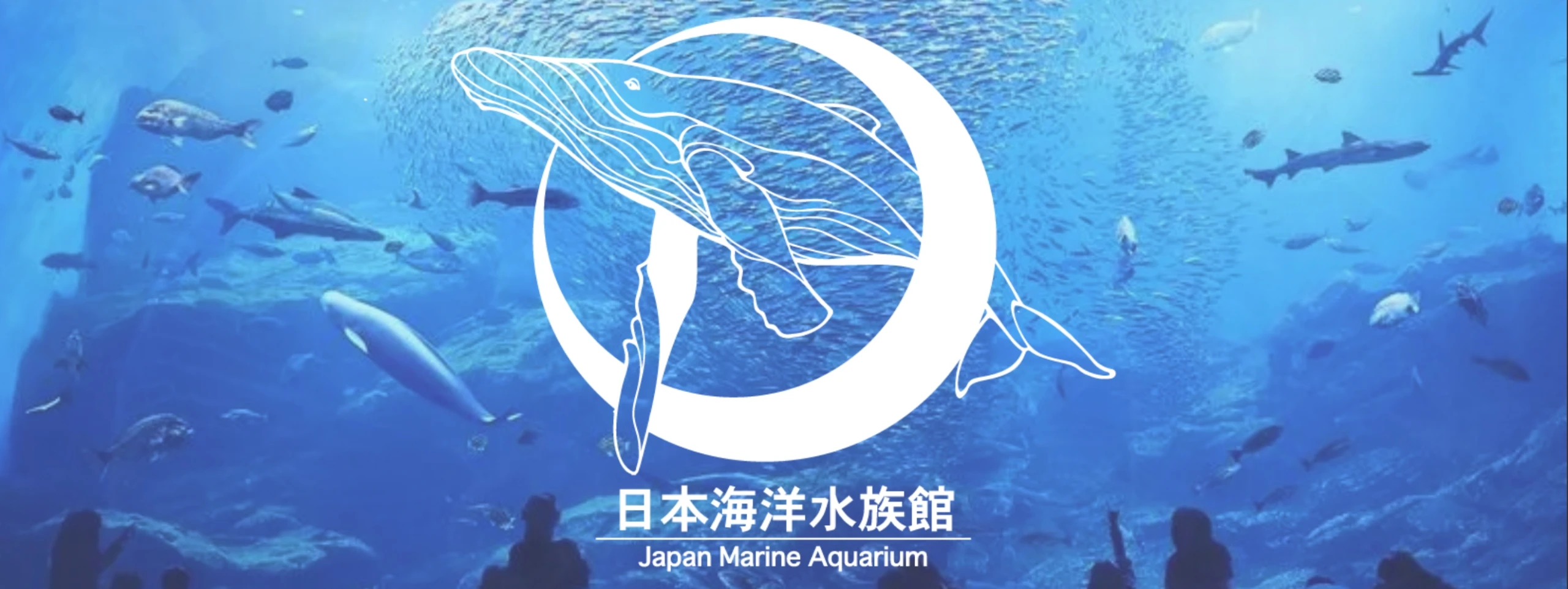 PORTFOLIO 日本海洋水族館