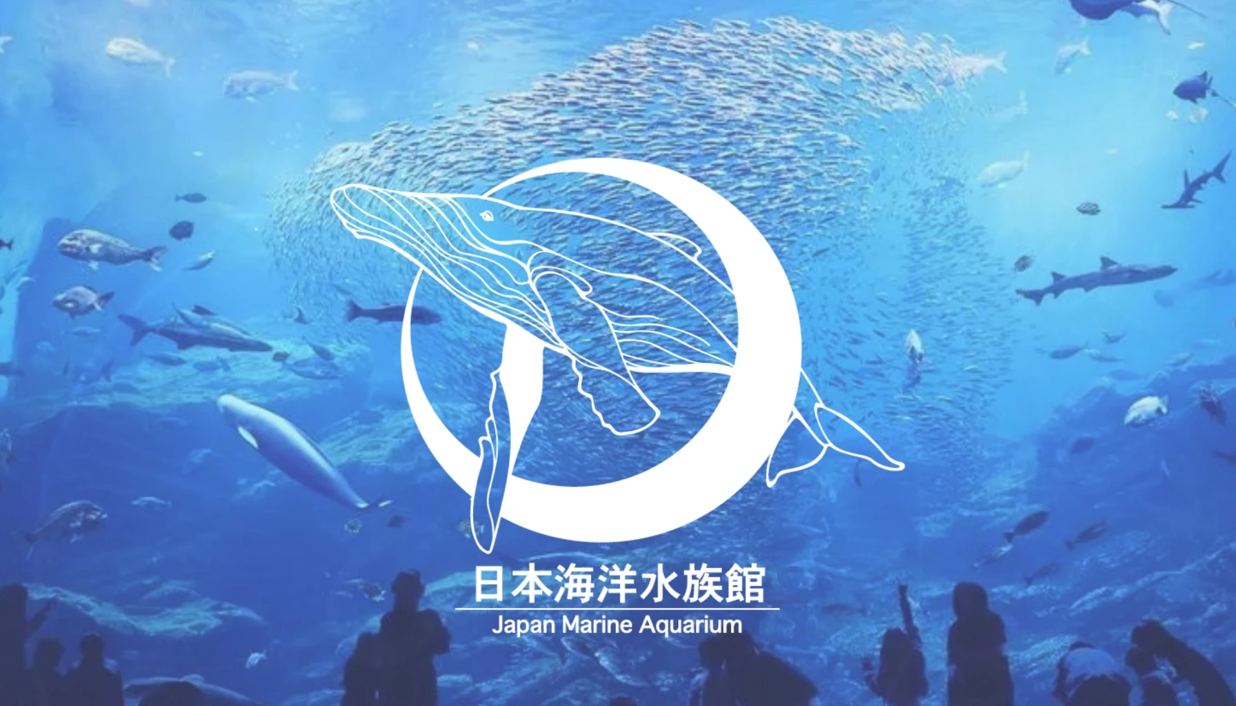 日本海洋水族館